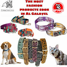 Unlike other pet stores, we value socializing all of our pets, by allowing our customers to handle them while they browse. Al Galayel Equine Center Offers Host Of Veterinary Services Qatar Living