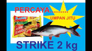Check spelling or type a new query. Indomie Umpan Jitu Ikan Patin Semua Kolam Umpan Langsung Disambar Ikan Patin Langsung Test Kolam Youtube