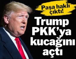 Renee Zellweger kimdir? Renee Zellweger hangi filmlerde oynadı?