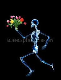 x ray w bouquet flowers human skeleton photographic print skeleton flower