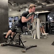 Many gyms have a horizontal bench (the gym we shot the above pictures at did not) which i've shown below. Back Extension Muscles Worked Technique Strengthlog