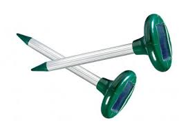 Image result for Schéma plašiče krtků