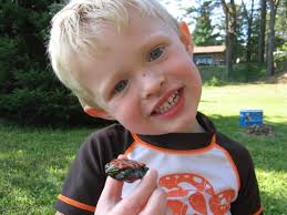 Cable Natural History Museum