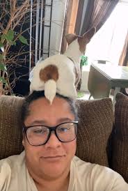 Why do Jack Russell terriers sit