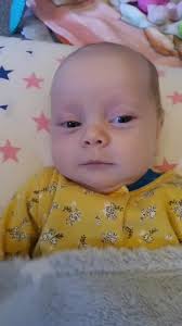 Beatrix Todt Aurelia Todt