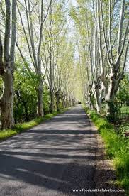 A Food And Wine Weekend In Saint Remy De Provence
