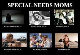 Pin By Nina Skyum Nielsen On What I Really Do Meme Special Needs Mom Special Needs Quotes Special Needs