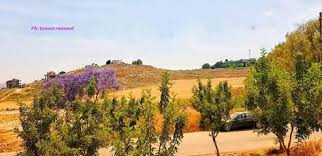 ومن أطراف بلدة الشرقية النبطية جنوب لبنان country roads road country