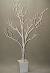 Diy Tree Branch Decor
