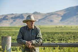 How To Clean And Care For A Felt Stetson Hat Stetson Hat Hats Stetson
