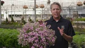 Image result for Jamesbrittenia