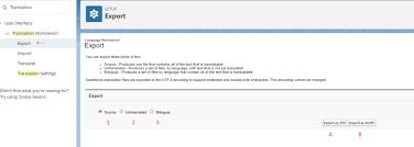 Salesforce Translation Workbench Ayman Elbadawy