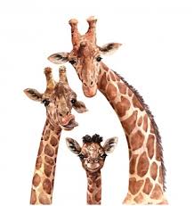 Check spelling or type a new query. Watercolor Animals Images Free Vectors Stock Photos Psd