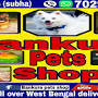 Bankura Pet Shop from m.facebook.com