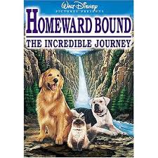Movies About Dogs Google Search Childhood Movies Movies Kids Movies