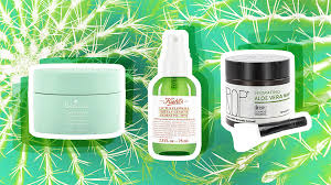 So since cacti like a dry medium and only require infrequent waterings; The Best Cactus Products For Dry Skin Stylecaster