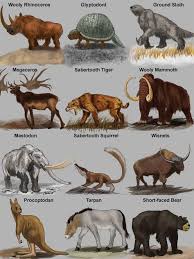 Sahkoposti Ispi A Outlook Ancient Animals Extinct Animals Animals