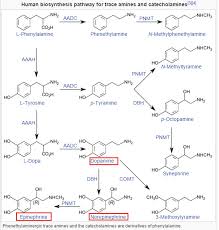 Antidepressants Types And Selection Gateway Psychiatric