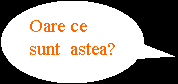 Daca il tii o ora, te doare bratul. Cuvinte Care Au Acelasi Inteles
