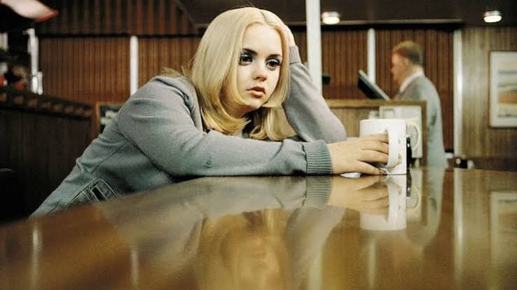 things you didn't know about vincent gallo's buffalo '66