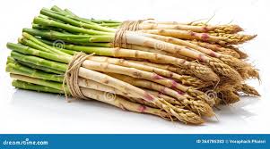 Image result for Asparagus radiatus