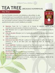 Pin On Aromaterapia Espanol