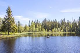 Ga dus wandelen, zwemmen, fietsen allemansrätt is het recht om je te voet, vrij en onbezorgd in de natuur te begeven. Wanneer Kies Je Voor Noorwegen Zweden Of Finland
