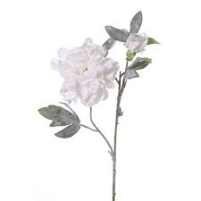 Silk peony artificial fake flowers bunch bouquet home wedding party garden decor. Artificial Peony Maline With Snow Cream 24 60cm O4 7 12cm