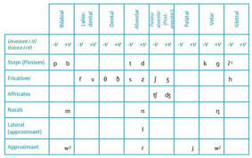 31 disclosed phonetic placement chart