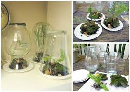 Diy Glass Plant Terrarium Vase Last Week I Showed A Few Examples Of Diy Terrariums Made With Everyday Objects I Got Terrarium Diy Terrarium Diy Vase