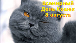 Aug 08, 2021 · праздники, посвященные этим пушистым питомцам, есть во многих странах. Den Koshek Vsemirnyj Den Koshek 8 Avgusta Prazdnik Koshek Video Pozdravlenie Youtube