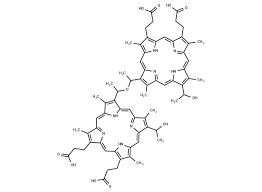 Image result for Porfimer