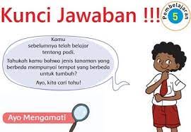 Kunci jawaban tema 4 kelas 2 halaman 12 13 15 16 17 18 pembelajaran 2 subtema 1 buku. Kunci Jawaban Tema 3 Kelas 4 Sd Halaman 32 33 34 36 37 39 40 Lengkap