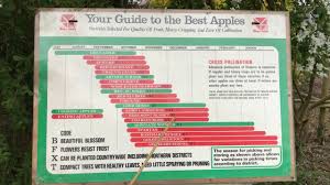 Supported single images, single codeboxes, single tables and a compound selection of rich text, images, codeboxes and tables. Fruit Tree Care Tips For September Suffolk Fruit And Trees The Fruit Tree Specialists