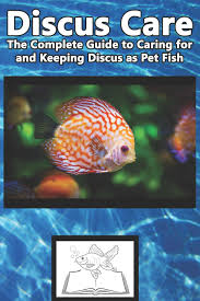 It's important to keep in mind that discus is rather timid and a bit dumb; Discus Care The Complete Guide To Caring For And Keeping Discus As Pet Fish Jones Tabitha 9781799122760 Amazon Com Books