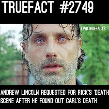 Pin On The Walking Dead