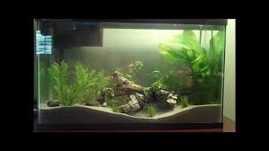 We hope this guide on starting a fish tank for beginners helps you make the right decisions and saves you time, money and the lives of some poor innocent fish. A Step By Step Guide On How To Start An Aquarium