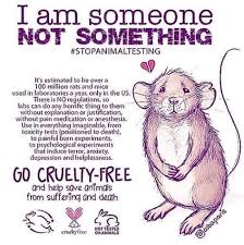 Pin On Animals 1 Rats You Must Love Ratties