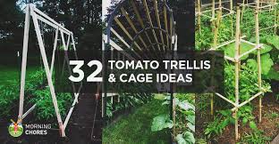 These homemade bamboo cages are so functional and cheap. 32 Diy Tomato Trellis Cage Ideas For Healthy Tomatoes