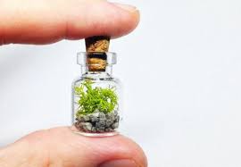 Mini Terrarium Tiny Glass Vial Cork Reindeer Moss Necklace Charm Miniature Jar Fairy Plant Dollhouse Dec Mini Terrarium Hanging Terrarium Terrarium