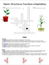 Pin On Summer Learning