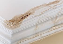 Basements and bathrooms are especially susceptible to mold and mildew growth. My Ceiling Has Water Damage Can I Paint Over It Southington Painting