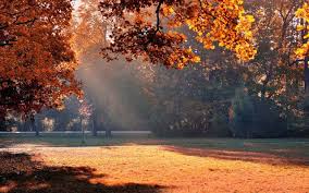 Herfst Wallpapers Herfstfoto S Mooie Achtergronden In 2020 Achtergronden Natuur Bureaublad Achtergrond