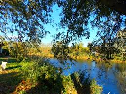 Eigene Teich Mit Haus In West Ungarn Es Ist Zu Verkaufen Ein 6400 Qm Grosse Absoluter Alleinlage Auf Einem Wassergrundstuck In Traumhafte Outdoor Water River