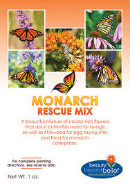 The monarch butterfly or simply monarch (danaus plexippus) is a milkweed butterfly (subfamily danainae) in the family nymphalidae. Monarch Rescue Mix Wildflower Seeds Bbb Seed