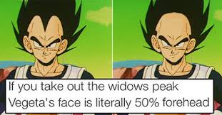 Dragon ball z pictures memes. 20 Hilarious Dragon Ball Memes Only True Fans Will Understand