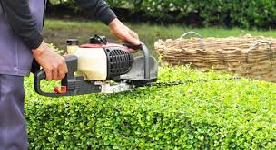 Commercial landscaping landscaping images arborvitae landscaping backyard landscaping landscape maintenance lawn maintenance free. Shrewsbury Landscaper Warren Landscaping
