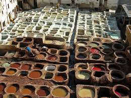 Image result for Tessmannia burttii