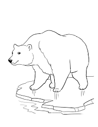 أجمل رسومات دب للتلوين جاهزة للطباعة بفبوف Polar Bear Coloring Page Animal Coloring Pages Bear Coloring Pages