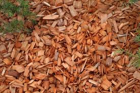 Einer dieser nachteile ist, dass nicht alle pflanzen den mulch vertragen. Rindenmulch Im Garten Die Wichtigsten Vorteile Und Nachteile